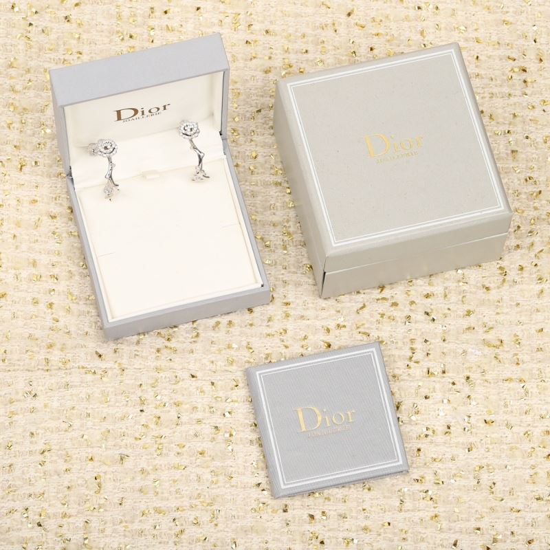 Christian Dior Earrings